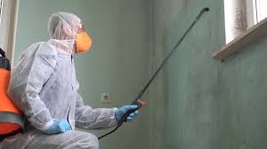 Best Biohazard Mold Removal in Spokane Valley, WA